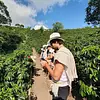 Tour valle del cocora y fincas cafeteras