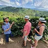 Tour valle del cocora y fincas cafeteras