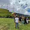 Tour valle del cocora y fincas cafeteras