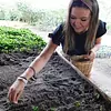 Tour valle del cocora y fincas cafeteras