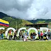 Tour valle del cocora y fincas cafeteras