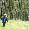 CAMINATAS JOROBAS DEL CAMELLO EN CALI